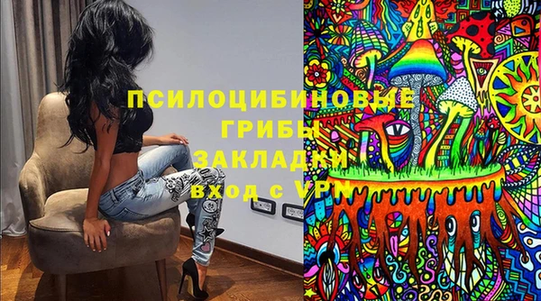 марки lsd Белокуриха