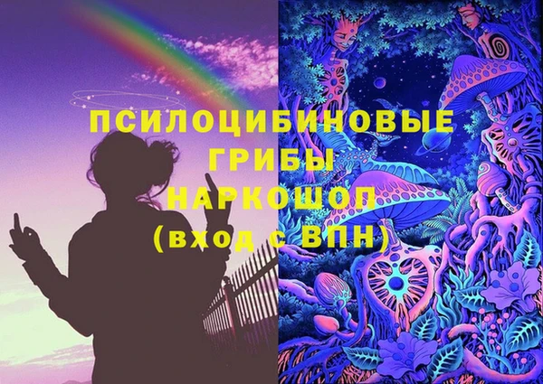 молекула духа Беломорск