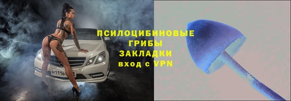 a pvp Белоозёрский