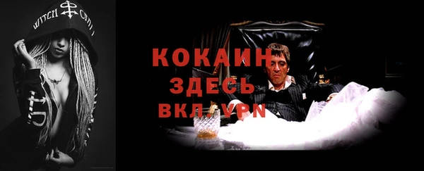 марки lsd Белокуриха