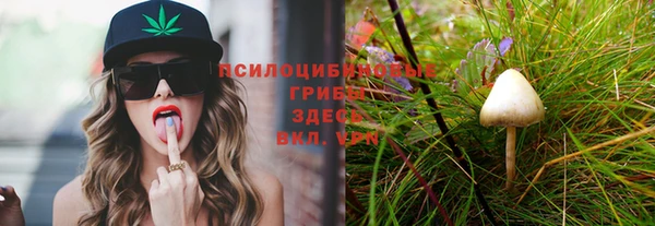 молекула духа Беломорск
