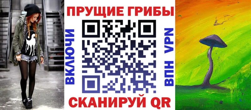 закладки  Дагестанские Огни  Галлюциногенные грибы Cubensis 